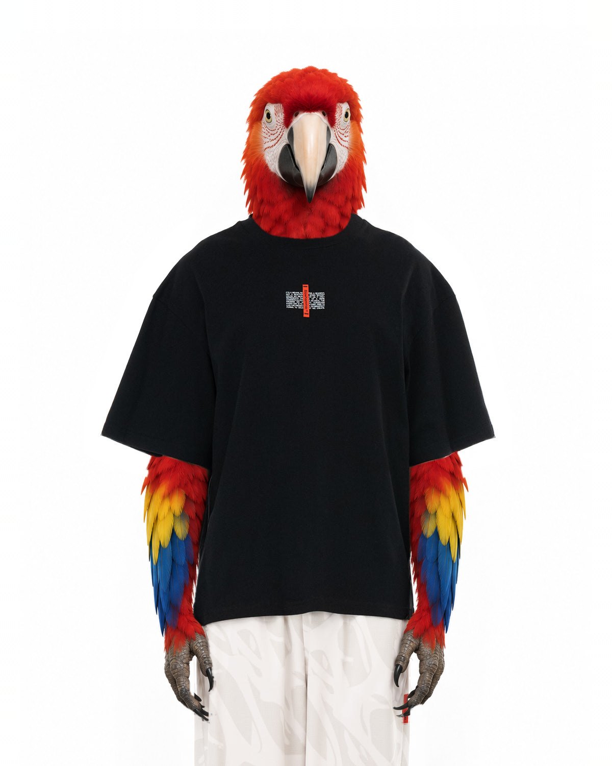 Invented character, macaw, wearing Flag T-Shirt