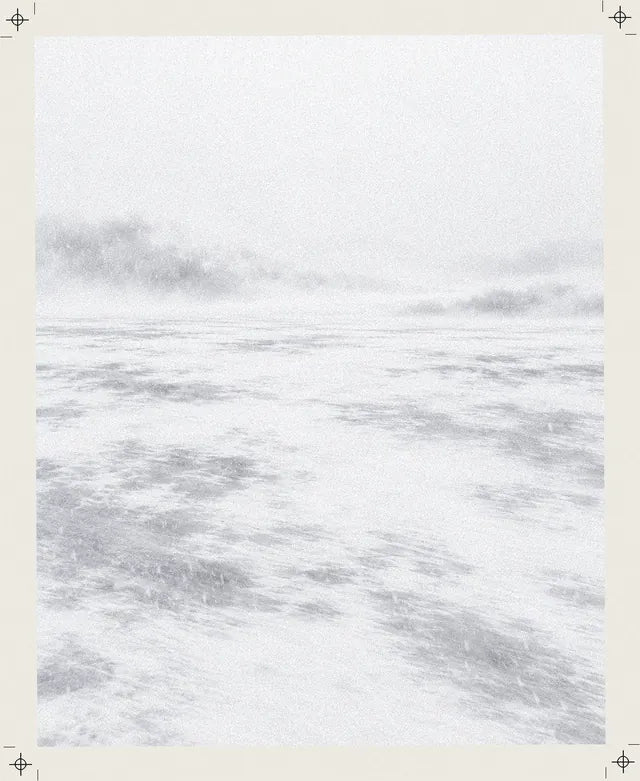 Una llanura de nieve que se pierde en la niebla, con bancos grises y nieve arrastrada por el viento, blanco y gris claro como el estampado Grey Noise.